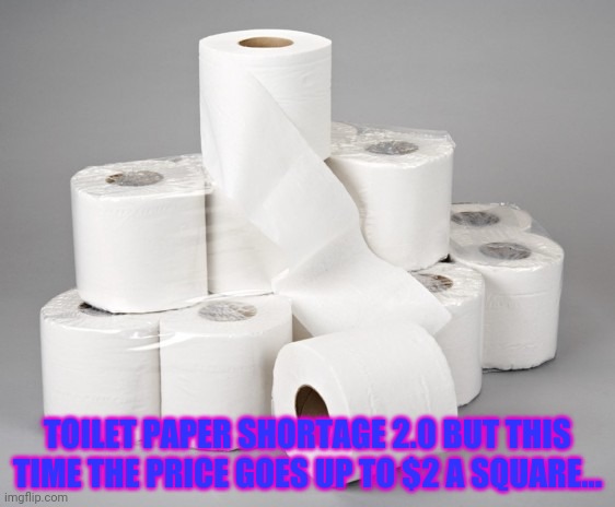 toilet paper | TOILET PAPER SHORTAGE 2.0 BUT THIS TIME THE PRICE GOES UP TO $2 A SQUARE... | image tagged in toilet paper | made w/ Imgflip meme maker