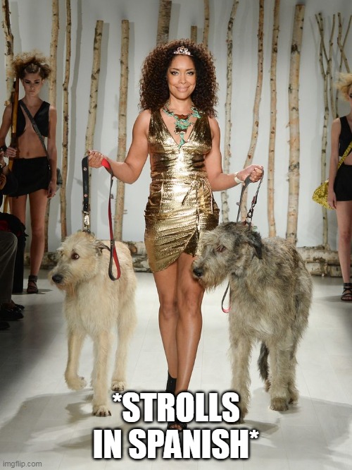 Gina Torres | *STROLLS IN SPANISH* | image tagged in cool cat stroll,latina | made w/ Imgflip meme maker