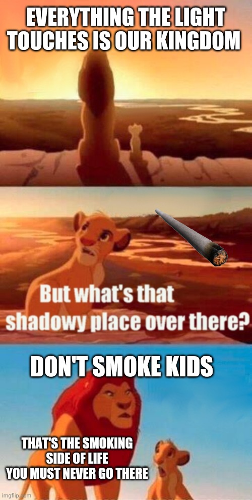 Simba Shadowy Place Meme | EVERYTHING THE LIGHT TOUCHES IS OUR KINGDOM; DON'T SMOKE KIDS; THAT'S THE SMOKING SIDE OF LIFE YOU MUST NEVER GO THERE | image tagged in memes,simba shadowy place | made w/ Imgflip meme maker