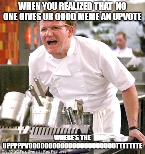 Chef Gordon Ramsay | WHEN YOU REALIZED THAT  NO ONE GIVES UR GOOD MEME AN UPVOTE; WHERE'S THE UPPPPPVOOOOOOOOOOOOOOOOOOOOOOTTTTTTTE | image tagged in memes,chef gordon ramsay,no upvotes | made w/ Imgflip meme maker