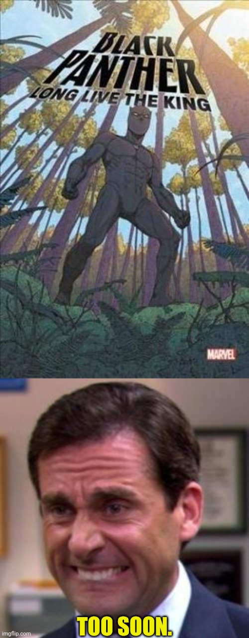 To Soon? | TOO SOON. | image tagged in michael scott,black panther,too soon,drstrangmeme | made w/ Imgflip meme maker
