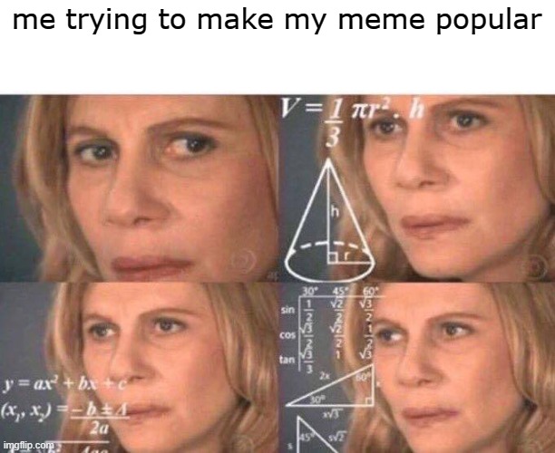 img flip for a normal boi | me trying to make my meme popular | image tagged in math lady/confused lady | made w/ Imgflip meme maker