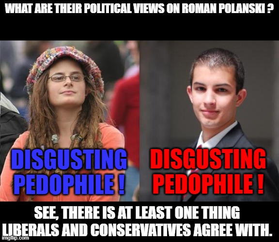 I found a point of agreemet between liberals and conservatives ! | WHAT ARE THEIR POLITICAL VIEWS ON ROMAN POLANSKI ? DISGUSTING PEDOPHILE ! DISGUSTING PEDOPHILE ! SEE, THERE IS AT LEAST ONE THING LIBERALS AND CONSERVATIVES AGREE WITH. | image tagged in liberal vs conservative,memes,roman polanski,agree | made w/ Imgflip meme maker