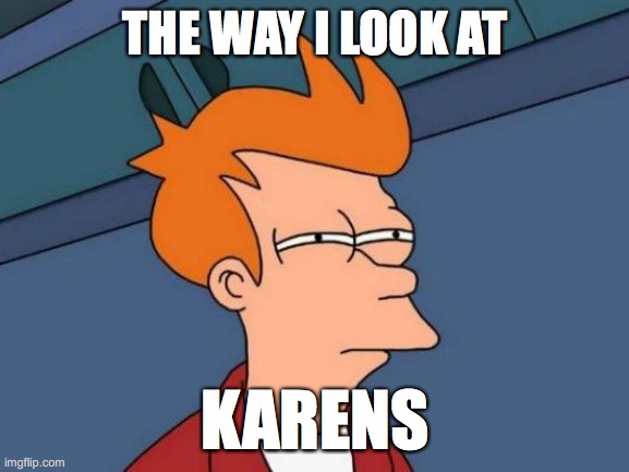 Futurama Fry | THE WAY I LOOK AT; KARENS | image tagged in memes,futurama fry | made w/ Imgflip meme maker