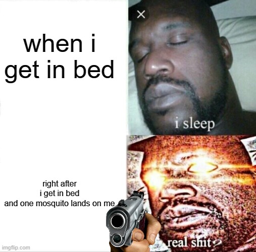 Sleeping Shaq Meme | when i get in bed; right after i get in bed and one mosquito lands on me | image tagged in memes,sleeping shaq | made w/ Imgflip meme maker