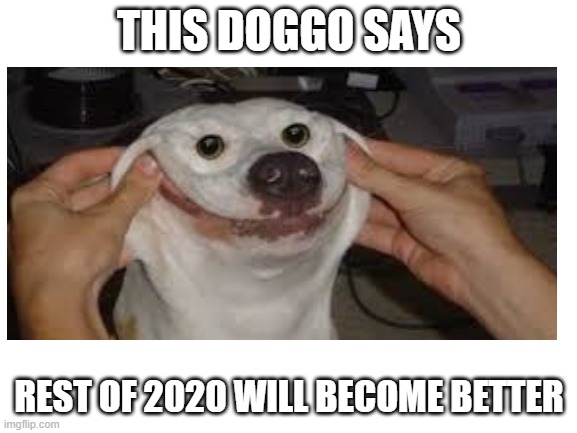 ... have hopes | THIS DOGGO SAYS; REST OF 2020 WILL BECOME BETTER | image tagged in doggo happy,have hopes,lol | made w/ Imgflip meme maker