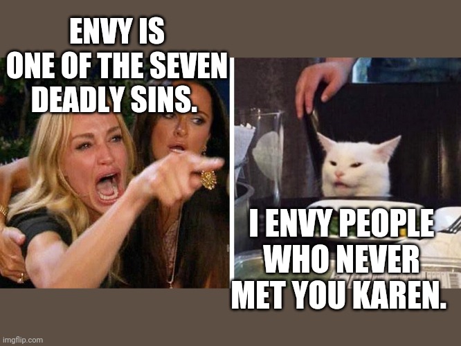 Smudge the cat | ENVY IS ONE OF THE SEVEN DEADLY SINS. I ENVY PEOPLE WHO NEVER MET YOU KAREN. | image tagged in smudge the cat | made w/ Imgflip meme maker