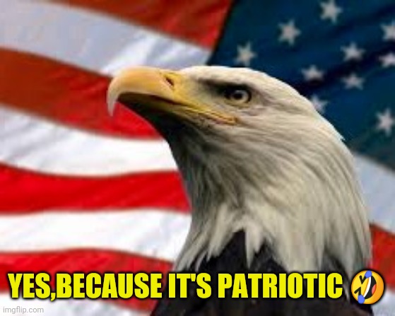 Murica Patriotic Eagle | YES,BECAUSE IT'S PATRIOTIC ? | image tagged in murica patriotic eagle | made w/ Imgflip meme maker