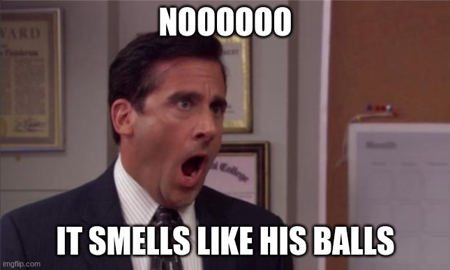 noooooo | NOOOOOO IT SMELLS LIKE HIS BALLS | image tagged in noooooo | made w/ Imgflip meme maker