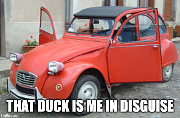 THAT DUCK IS ME IN DISGUISE | made w/ Imgflip meme maker