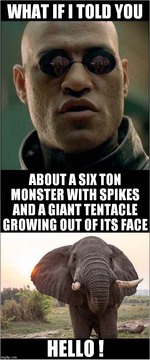 What Is A Monster ? | WHAT IF I TOLD YOU; ABOUT A SIX TON MONSTER WITH SPIKES AND A GIANT TENTACLE GROWING OUT OF ITS FACE; HELLO ! | image tagged in fun,what if i told you,monster,elephant | made w/ Imgflip meme maker