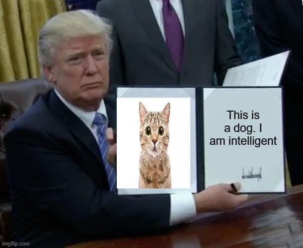 I am Intelligent. I am Trump | This is a dog. I am intelligent | image tagged in memes,trump bill signing | made w/ Imgflip meme maker