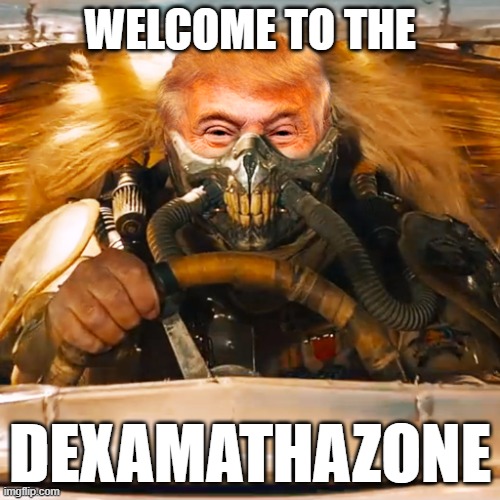 Welcome to the DexamethaZone | WELCOME TO THE; DEXAMATHAZONE | image tagged in donald trump,covid-19 | made w/ Imgflip meme maker