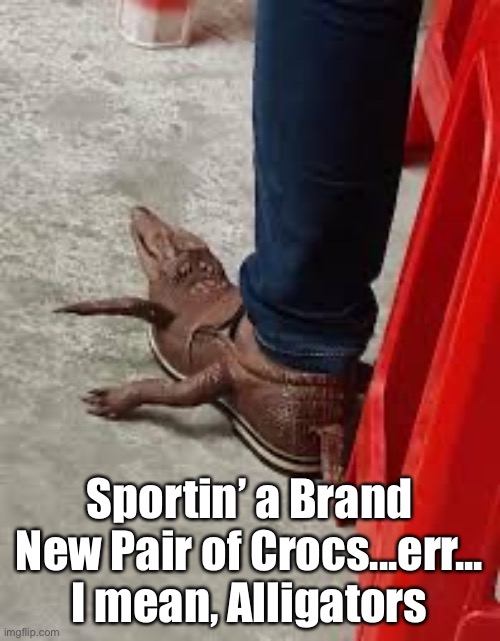 Those Aren’t Crocs, Bro! | Sportin’ a Brand New Pair of Crocs...err...
I mean, Alligators | image tagged in funny memes,crocs | made w/ Imgflip meme maker