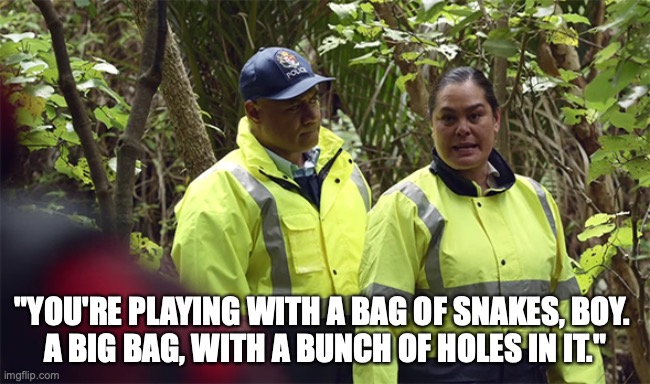 bag of snakes | "YOU'RE PLAYING WITH A BAG OF SNAKES, BOY. 
A BIG BAG, WITH A BUNCH OF HOLES IN IT." | image tagged in playing a dangerous game | made w/ Imgflip meme maker