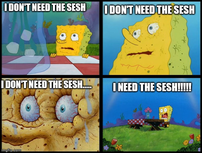 Sesh gremlins trying to stay indoors be like | I DON'T NEED THE SESH; I DON'T NEED THE SESH; I NEED THE SESH!!!!! I DON'T NEED THE SESH..... | image tagged in spongebob i need it,memes,sesh | made w/ Imgflip meme maker