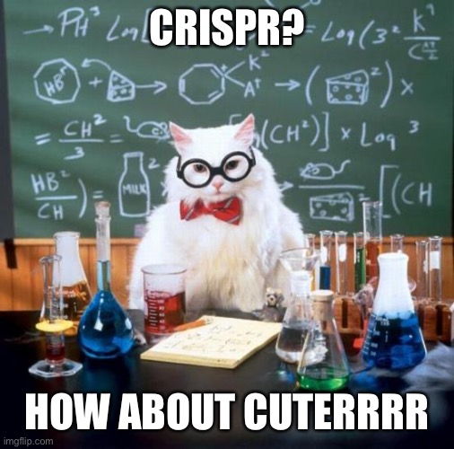 Nobel for CRISPR | CRISPR? HOW ABOUT CUTERRRR | image tagged in memes,chemistry cat | made w/ Imgflip meme maker