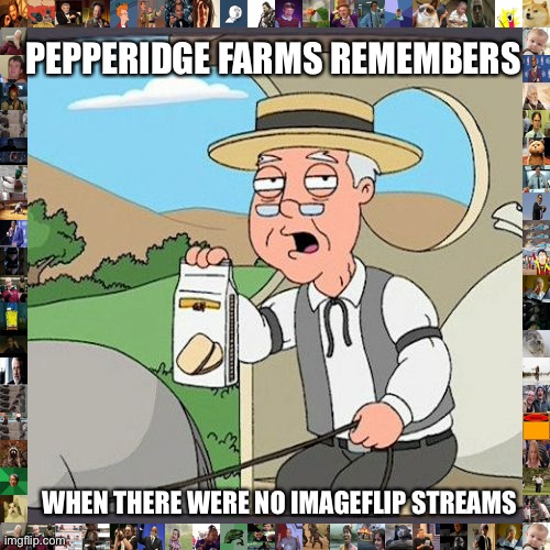 Pepperidge Farm Remembers |  PEPPERIDGE FARMS REMEMBERS; WHEN THERE WERE NO IMAGEFLIP STREAMS | image tagged in memes,pepperidge farm remembers,thx for letting me be mod,oh wow are you actually reading these tags,imgflip,streams | made w/ Imgflip meme maker