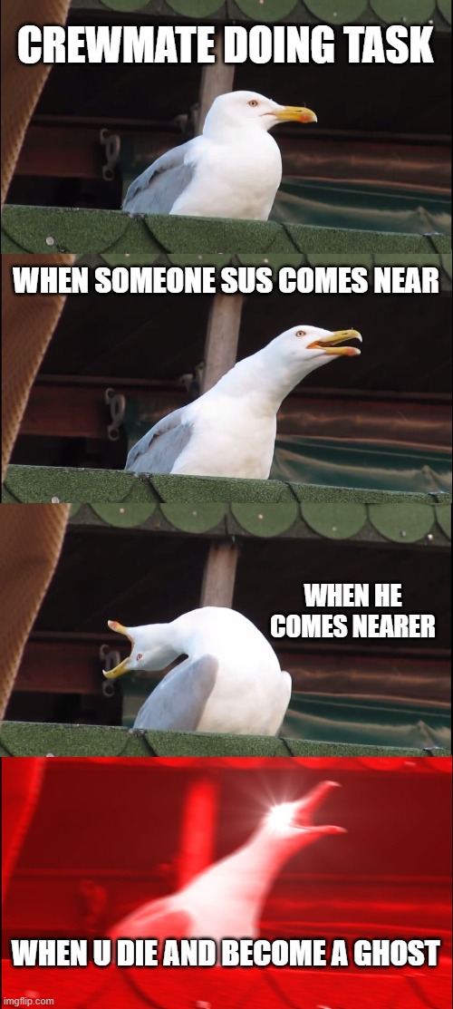 This is a real thing! | CREWMATE DOING TASK; WHEN SOMEONE SUS COMES NEAR; WHEN HE COMES NEARER; WHEN U DIE AND BECOME A GHOST | image tagged in memes,inhaling seagull | made w/ Imgflip meme maker