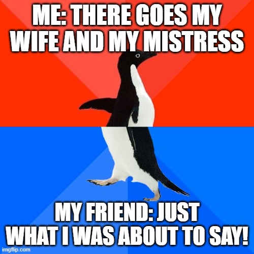 FML... | ME: THERE GOES MY WIFE AND MY MISTRESS; MY FRIEND: JUST WHAT I WAS ABOUT TO SAY! | image tagged in memes,socially awesome awkward penguin | made w/ Imgflip meme maker