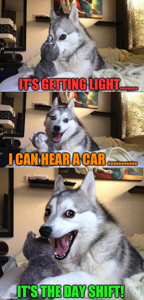 Bad Pun Dog | IT'S GETTING LIGHT....... I CAN HEAR A CAR ........... IT'S THE DAY SHIFT! | image tagged in memes,bad pun dog | made w/ Imgflip meme maker