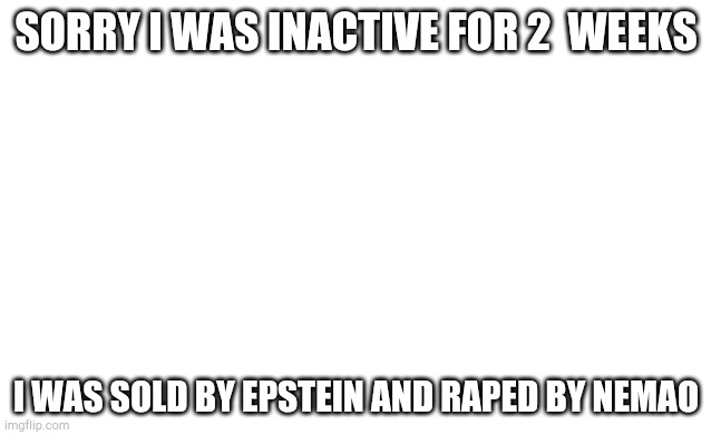 Inactive me | SORRY I WAS INACTIVE FOR 2  WEEKS; I WAS SOLD BY EPSTEIN AND RAPED BY NEMAO | image tagged in blank image | made w/ Imgflip meme maker