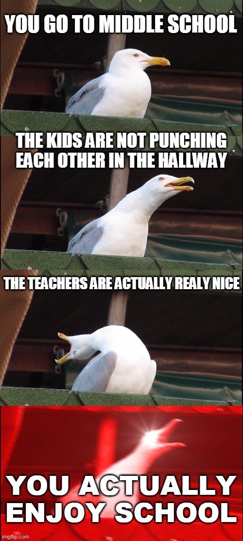 middle school is actually ok | YOU GO TO MIDDLE SCHOOL; THE KIDS ARE NOT PUNCHING EACH OTHER IN THE HALLWAY; THE TEACHERS ARE ACTUALLY REALY NICE; YOU ACTUALLY ENJOY SCHOOL | image tagged in memes,inhaling seagull | made w/ Imgflip meme maker