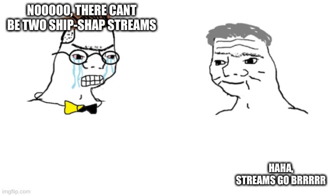 noooo you can't just | NOOOOO, THERE CANT BE TWO SHIP-SHAP STREAMS HAHA, STREAMS GO BRRRRR | image tagged in noooo you can't just | made w/ Imgflip meme maker