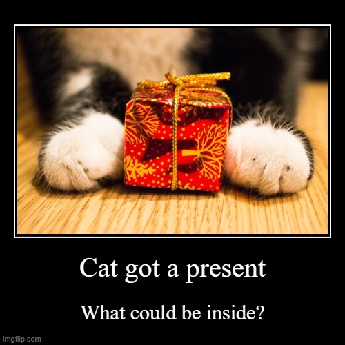 Cat got a present | What could be inside? | image tagged in funny,demotivationals | made w/ Imgflip demotivational maker