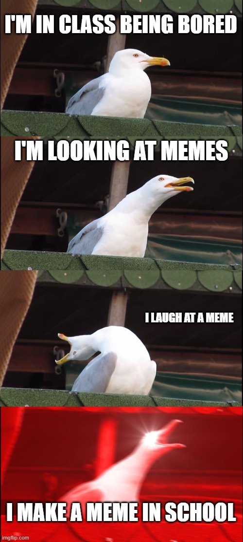 Inhaling Seagull | I'M IN CLASS BEING BORED; I'M LOOKING AT MEMES; I LAUGH AT A MEME; I MAKE A MEME IN SCHOOL | image tagged in memes,inhaling seagull | made w/ Imgflip meme maker