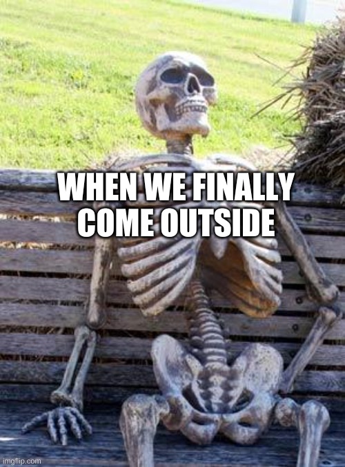 Waiting Skeleton Meme | WHEN WE FINALLY COME OUTSIDE | image tagged in memes,waiting skeleton | made w/ Imgflip meme maker