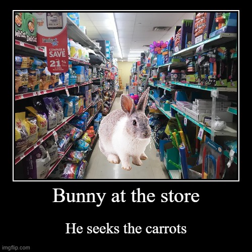 Bunny at the store hahahahaha | Bunny at the store | He seeks the carrots | image tagged in funny,demotivationals | made w/ Imgflip demotivational maker