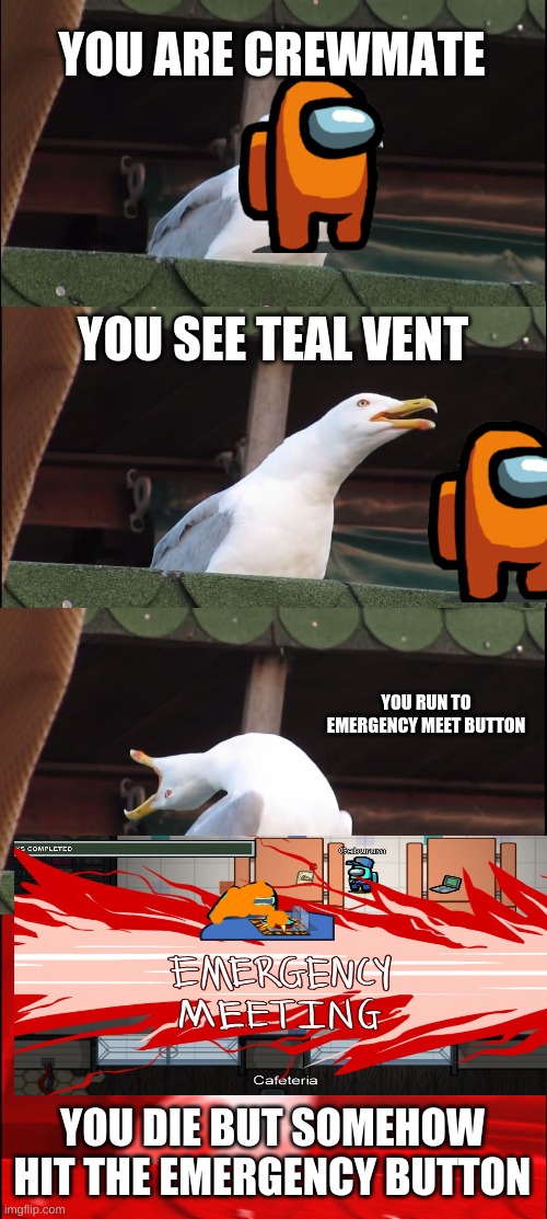 this is me irl | YOU ARE CREWMATE; YOU SEE TEAL VENT; YOU RUN TO EMERGENCY MEET BUTTON; YOU DIE BUT SOMEHOW HIT THE EMERGENCY BUTTON | image tagged in memes,inhaling seagull | made w/ Imgflip meme maker