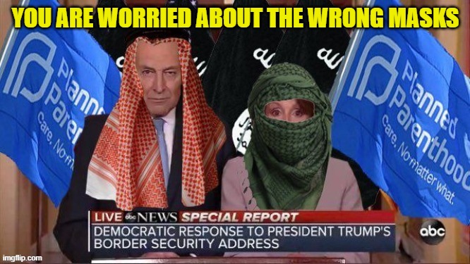 Nasty Pelosy & Schmuck Scummer | YOU ARE WORRIED ABOUT THE WRONG MASKS | image tagged in chuck schumer,nancy pelosi | made w/ Imgflip meme maker