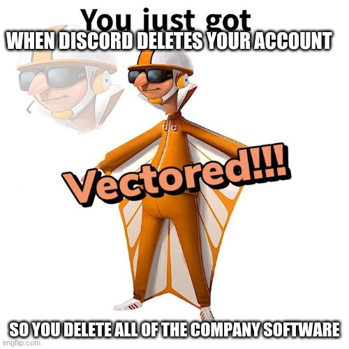 Discord gets vectored | WHEN DISCORD DELETES YOUR ACCOUNT; SO YOU DELETE ALL OF THE COMPANY SOFTWARE | image tagged in you just got vectored | made w/ Imgflip meme maker