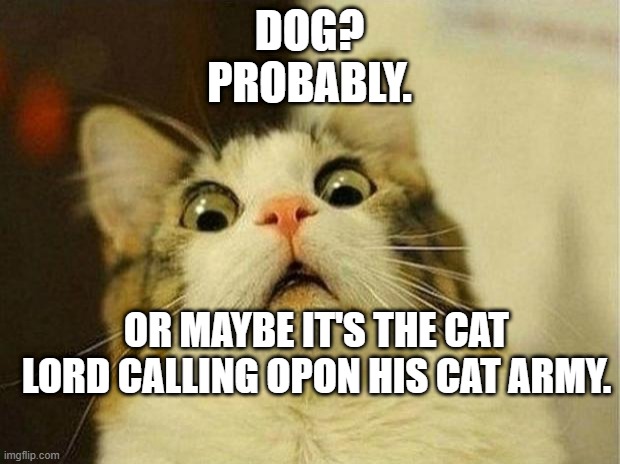 Scared Cat Meme | DOG?
PROBABLY. OR MAYBE IT'S THE CAT LORD CALLING OPON HIS CAT ARMY. | image tagged in memes,scared cat | made w/ Imgflip meme maker