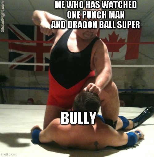 hahaha | ME WHO HAS WATCHED ONE PUNCH MAN AND DRAGON BALL SUPER; BULLY | image tagged in beating up | made w/ Imgflip meme maker