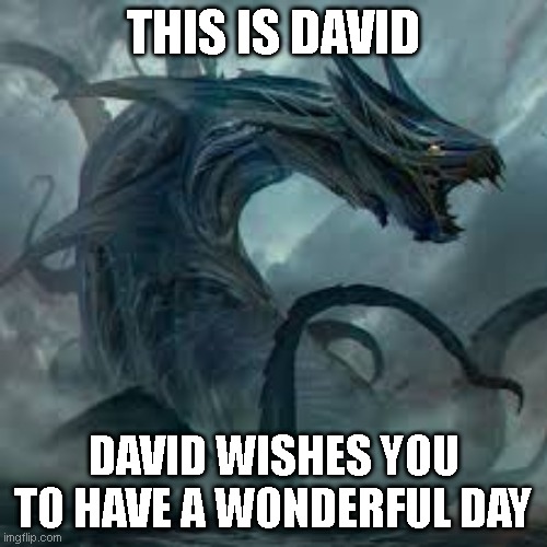 This is David | THIS IS DAVID; DAVID WISHES YOU TO HAVE A WONDERFUL DAY | image tagged in picture | made w/ Imgflip meme maker