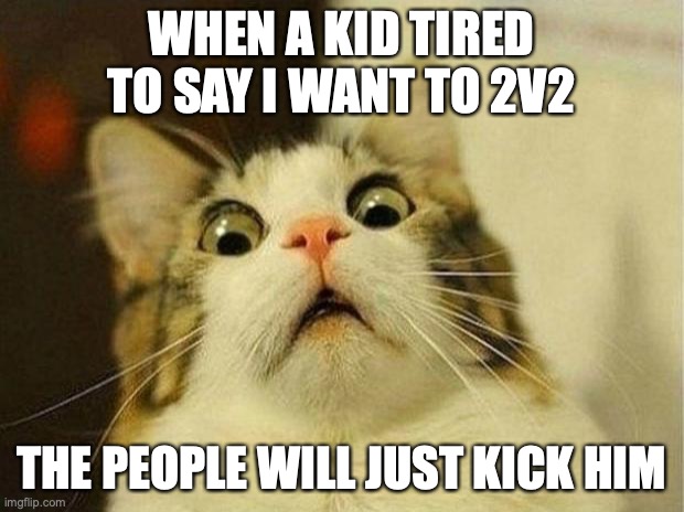 i wanna die | WHEN A KID TIRED TO SAY I WANT TO 2V2; THE PEOPLE WILL JUST KICK HIM | image tagged in memes,scared cat | made w/ Imgflip meme maker