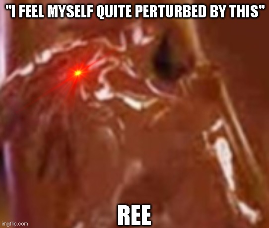 Chockatoo Perturbed | "I FEEL MYSELF QUITE PERTURBED BY THIS"; REE | image tagged in funny | made w/ Imgflip meme maker