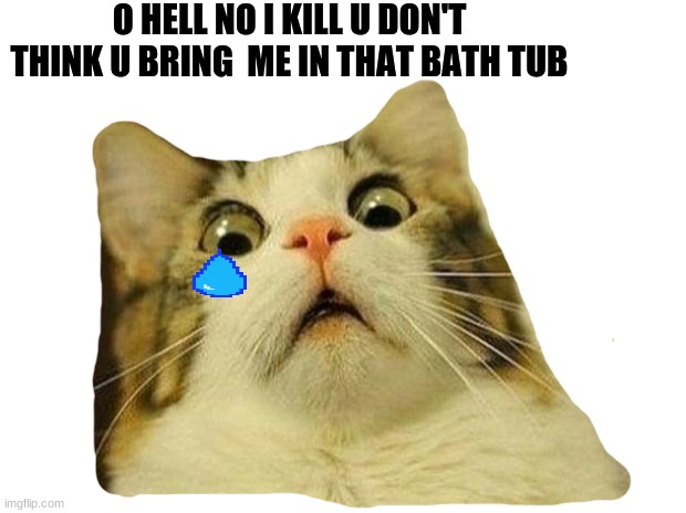 when i see this meme i think it's funny | O HELL NO I KILL U DON'T THINK U BRING  ME IN THAT BATH TUB | image tagged in memes,scared cat | made w/ Imgflip meme maker
