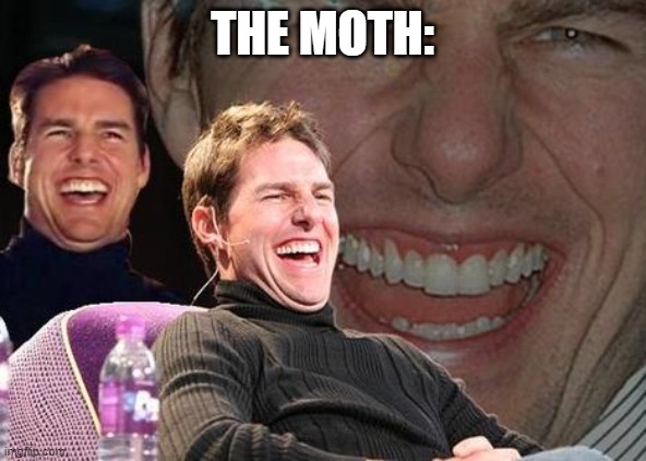 Tom Cruise laugh | THE MOTH: | image tagged in tom cruise laugh | made w/ Imgflip meme maker