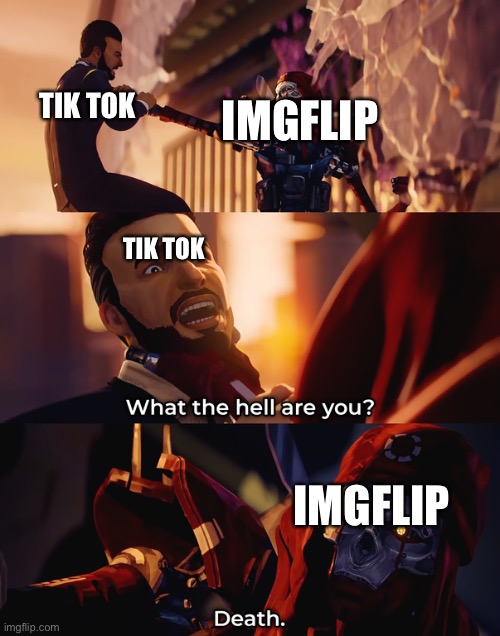 What the hell are you | IMGFLIP; TIK TOK; TIK TOK; IMGFLIP | image tagged in what the hell are you | made w/ Imgflip meme maker