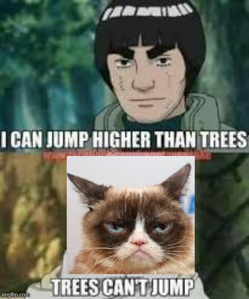 gumpy cat and naruto | image tagged in grumpy cat,naruto joke | made w/ Imgflip meme maker
