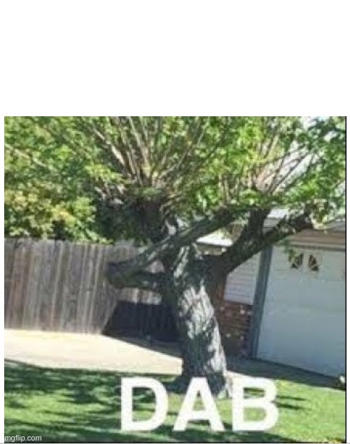 High Quality dab tree Blank Meme Template
