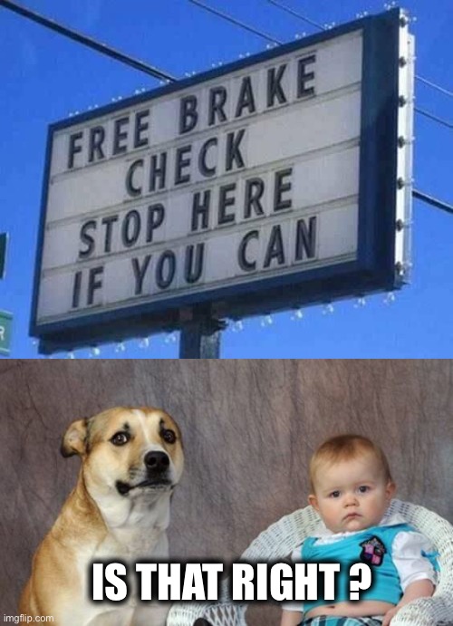 That’s not punny at all. | IS THAT RIGHT ? | image tagged in memes,dad joke dog,brake sign,puns,stop,brakes | made w/ Imgflip meme maker