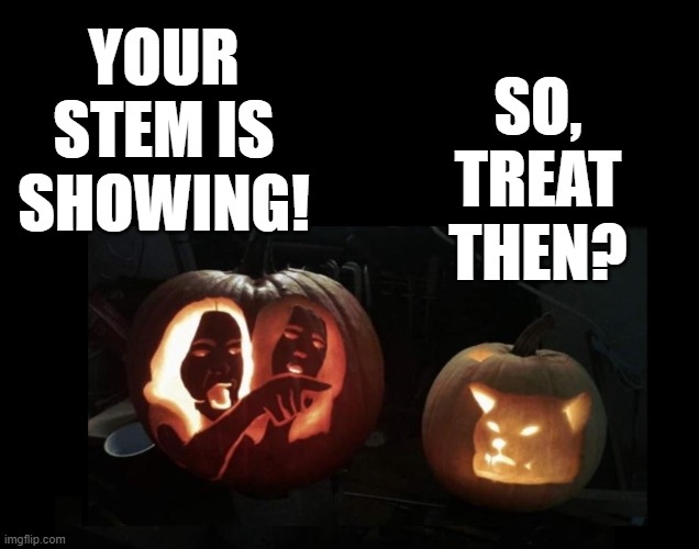 YOUR STEM IS SHOWING! SO, TREAT THEN? | made w/ Imgflip meme maker