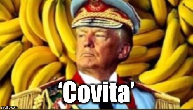 Covita | ‘Covita’ | image tagged in covita,covid,trump,biden,dictator trump | made w/ Imgflip meme maker