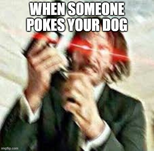 Triggered John Wick | WHEN SOMEONE POKES YOUR DOG | image tagged in triggered john wick | made w/ Imgflip meme maker