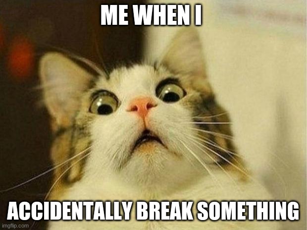 funny lmao | ME WHEN I; ACCIDENTALLY BREAK SOMETHING | image tagged in memes,scared cat,cats | made w/ Imgflip meme maker